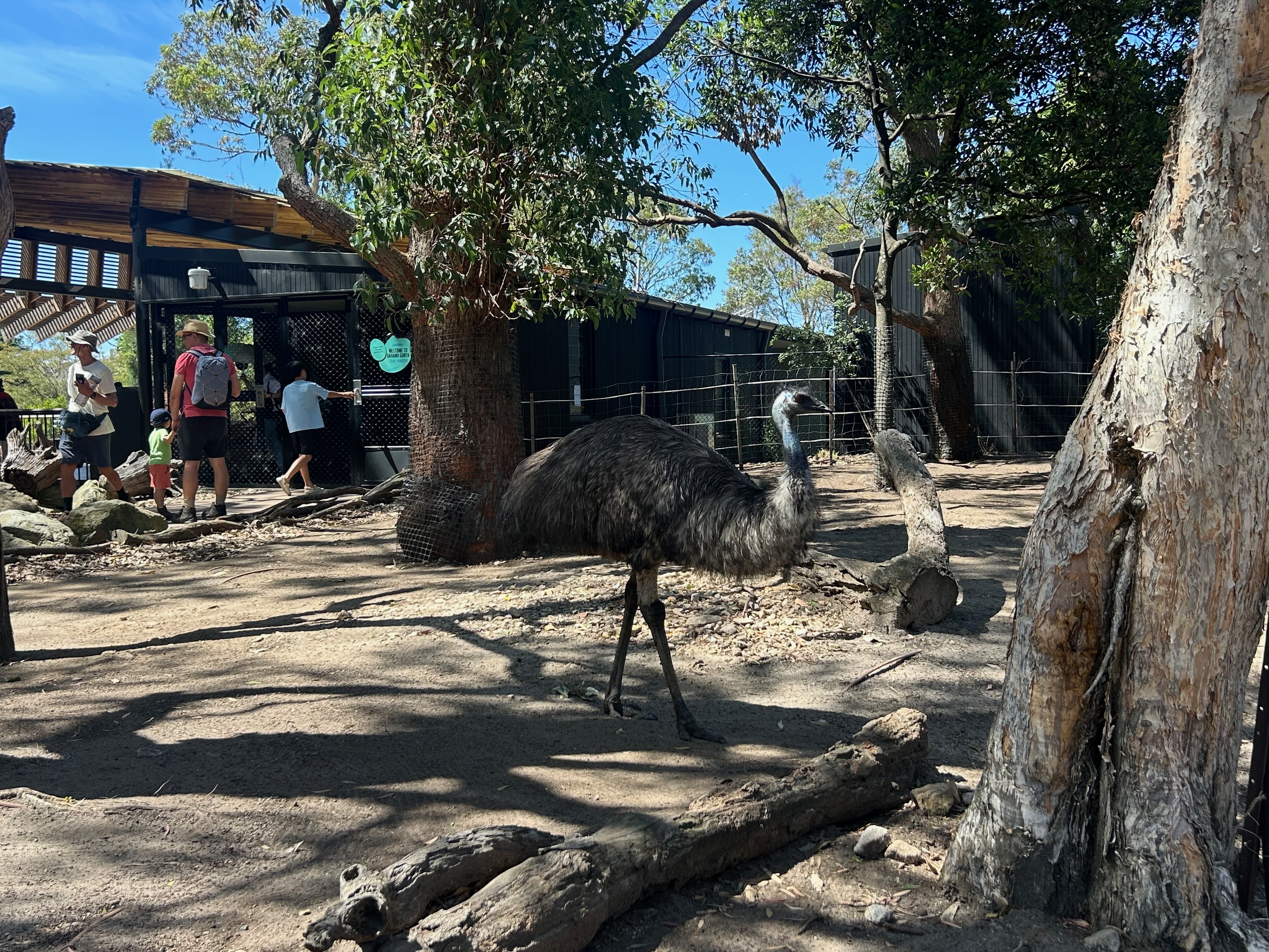 emu