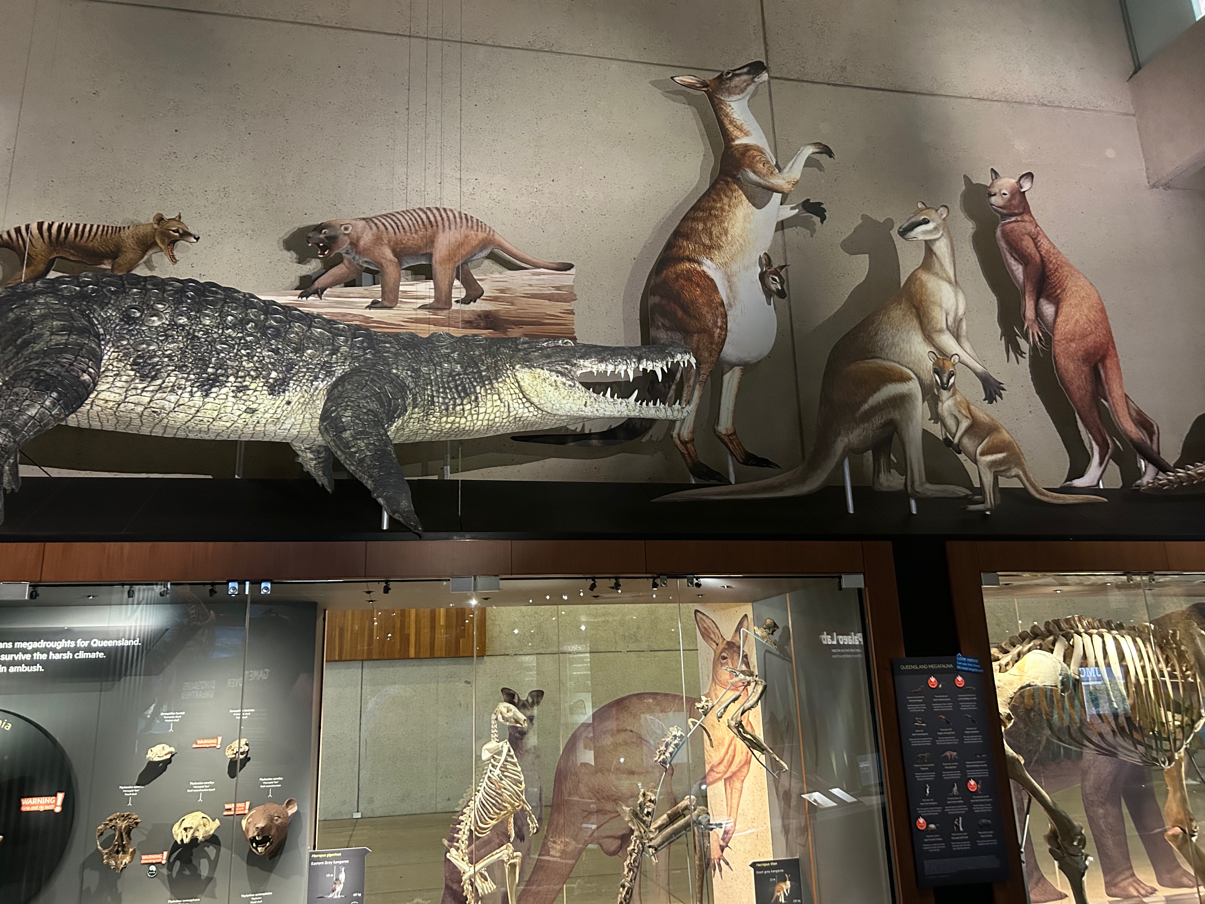 museum