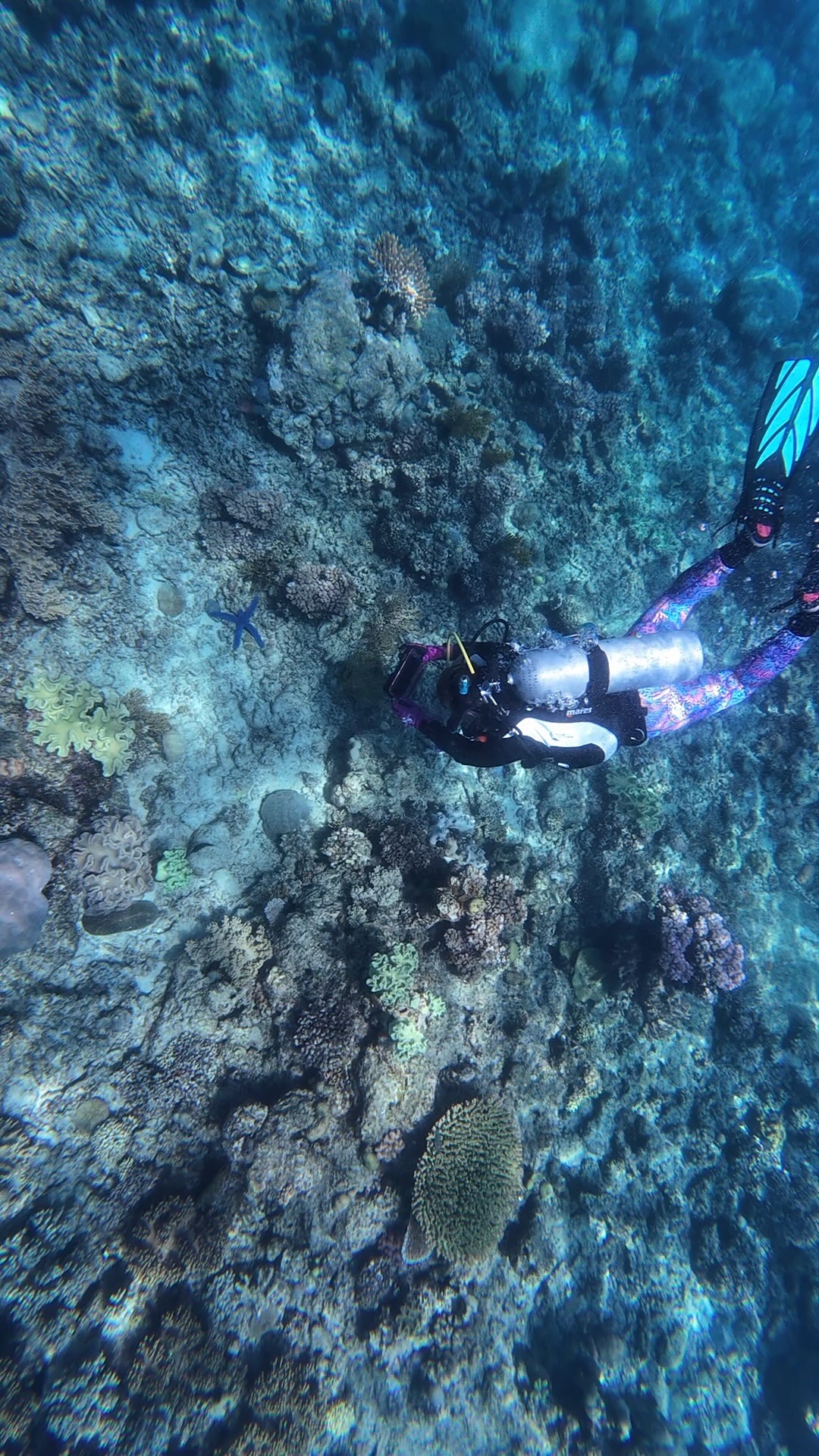 reef_diver