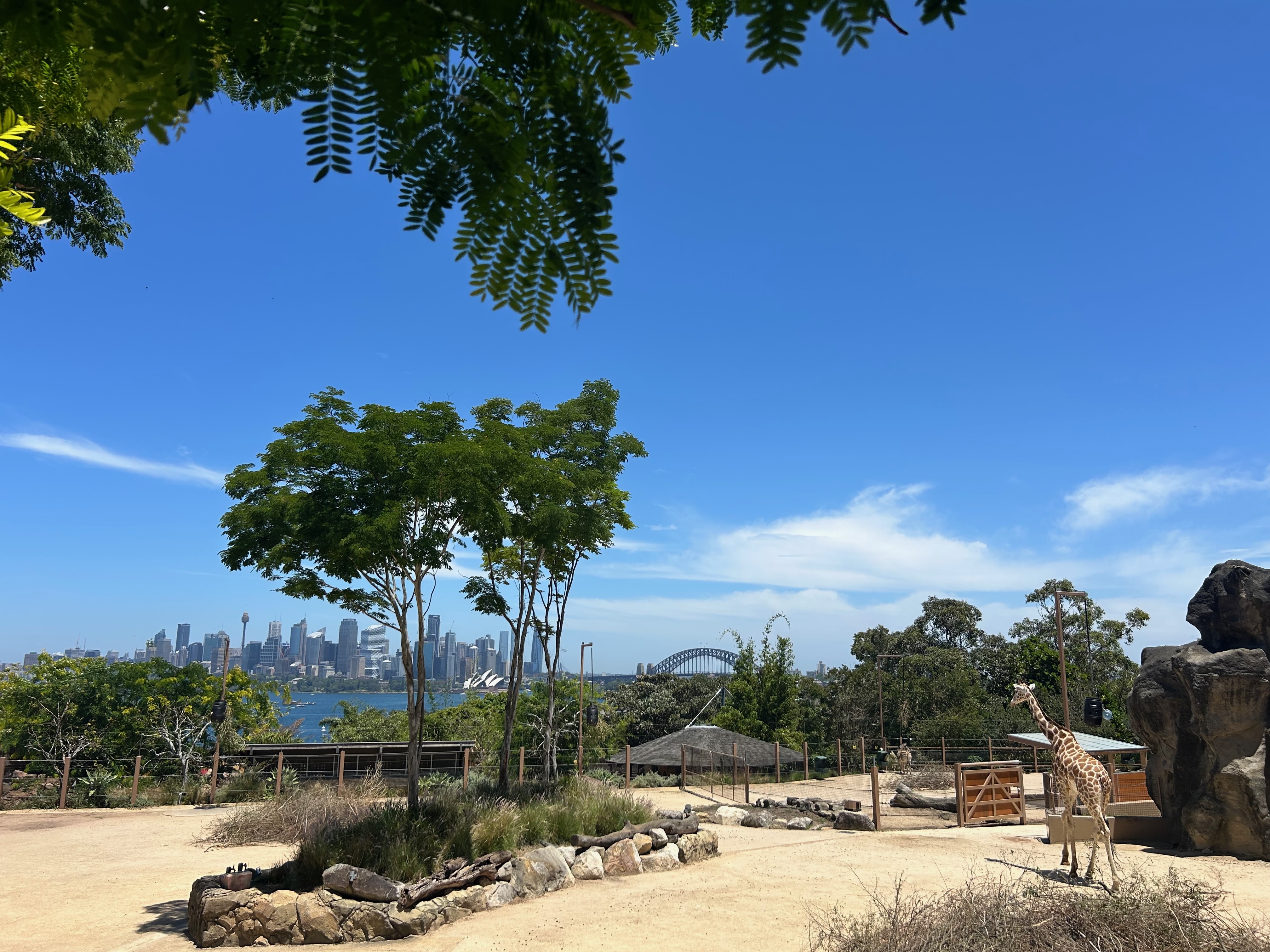 zoo_sydney