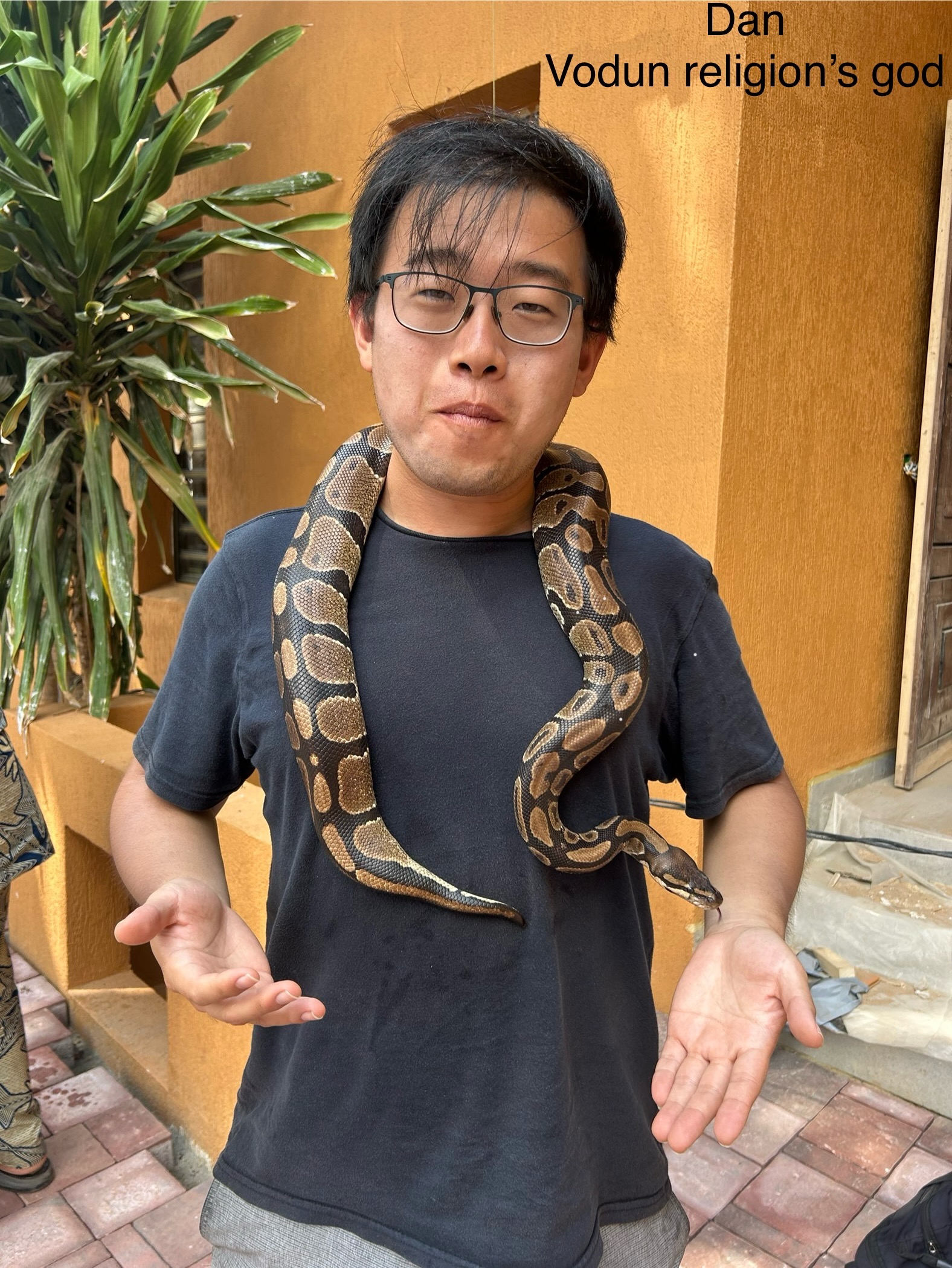 snake