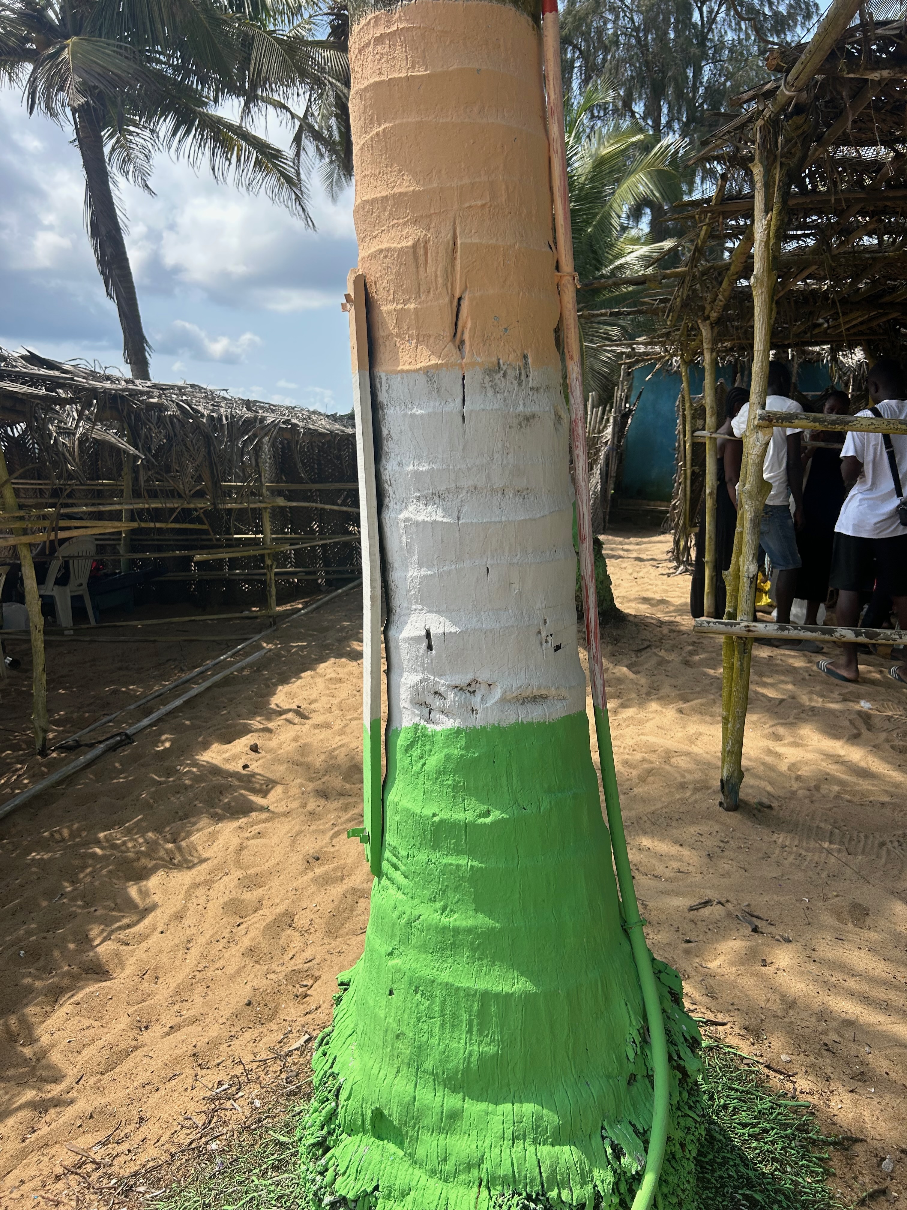 tree