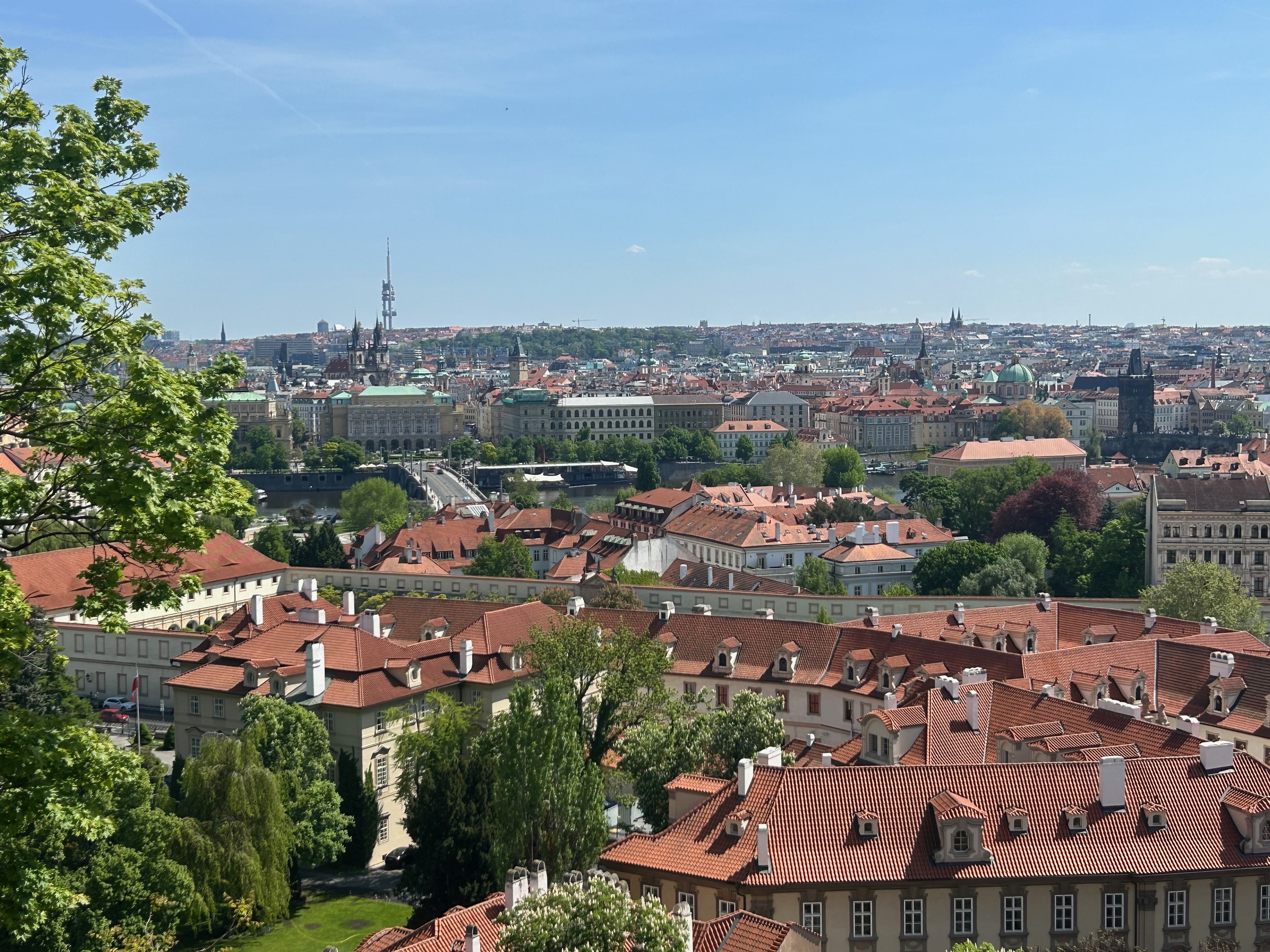 day5_view