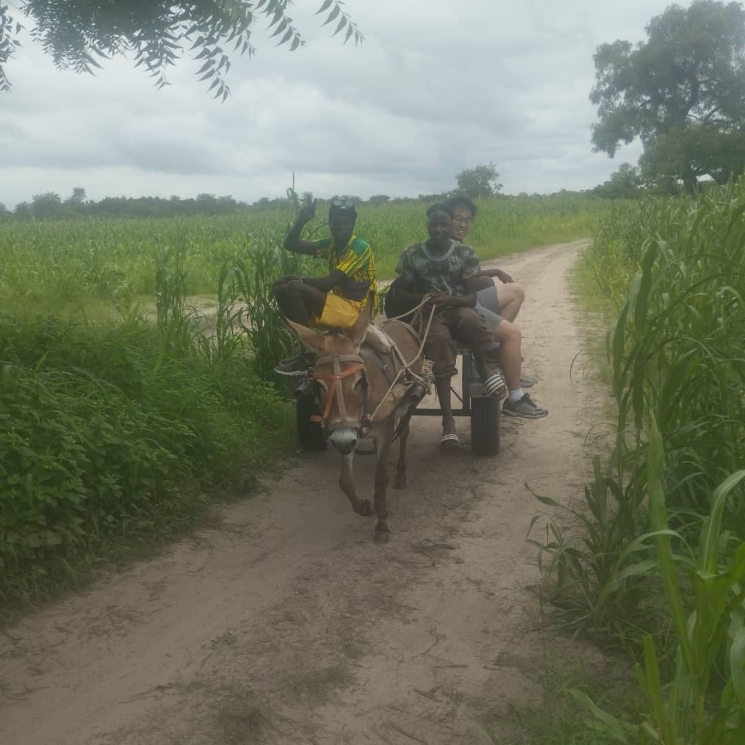 donkey_ride