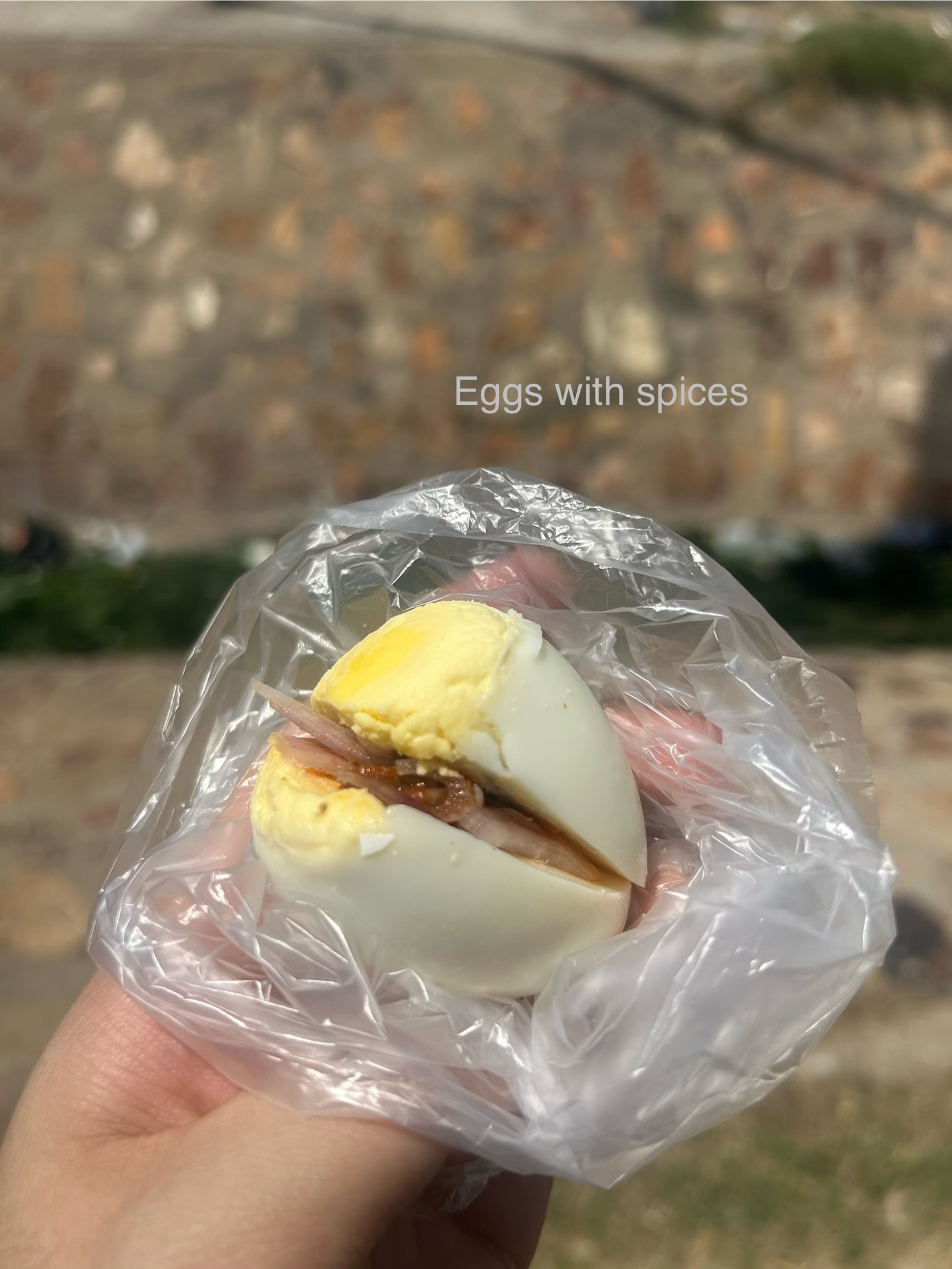 egg