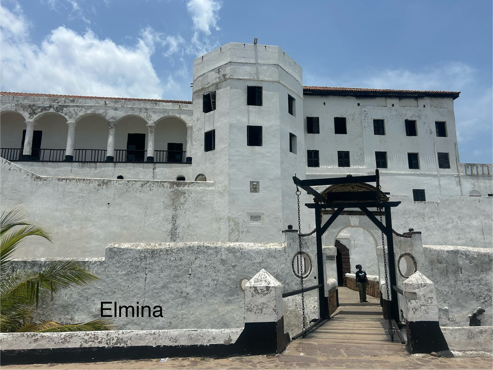 elmina1