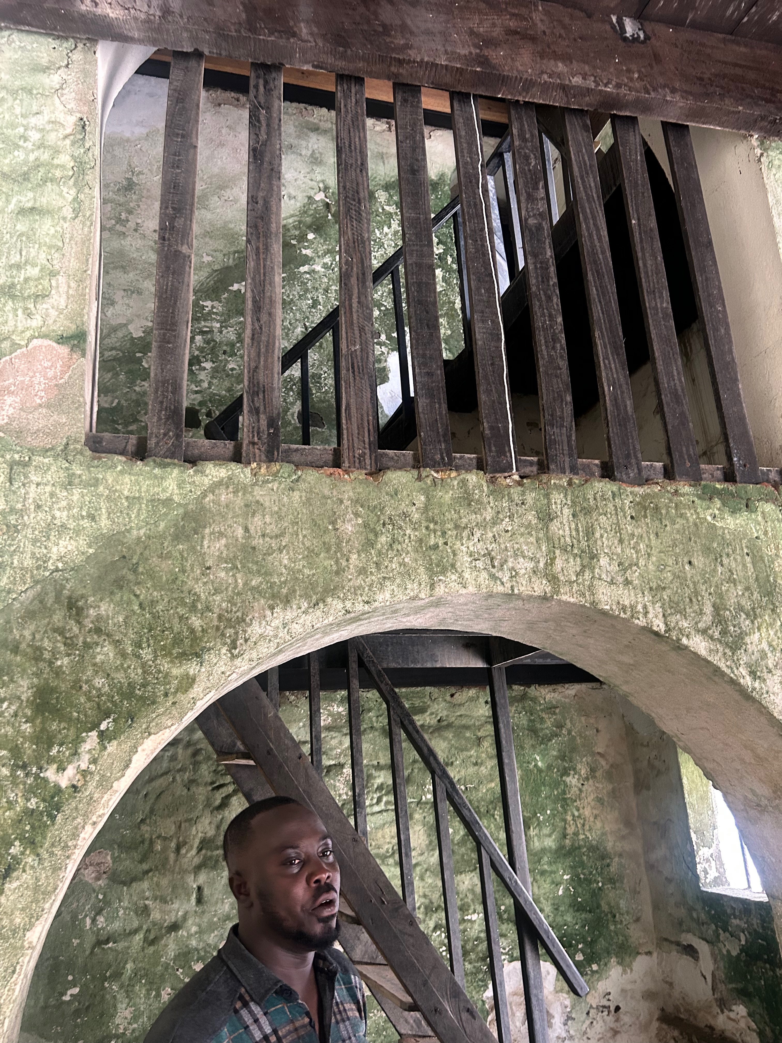 elmina4