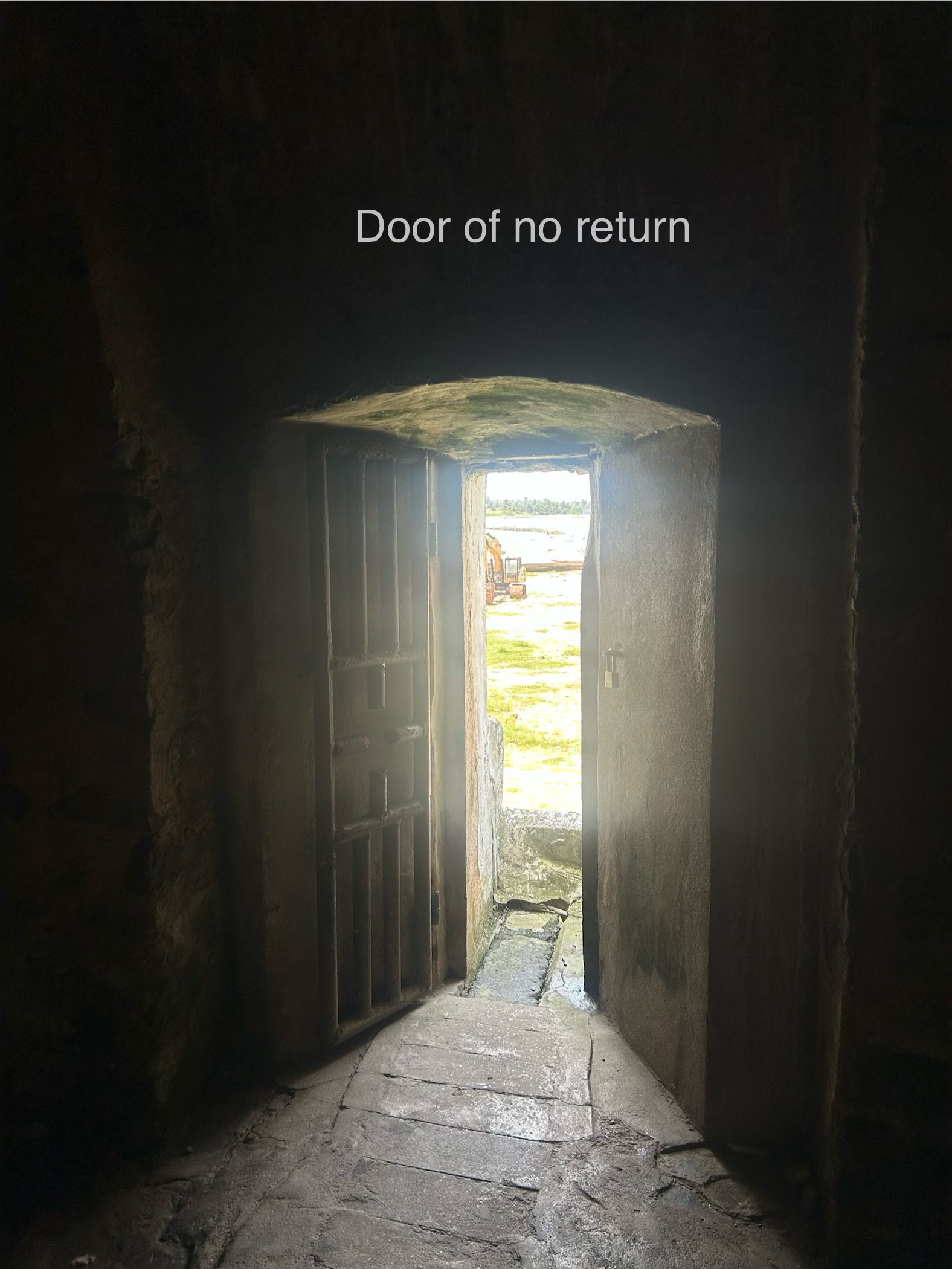 elmina5