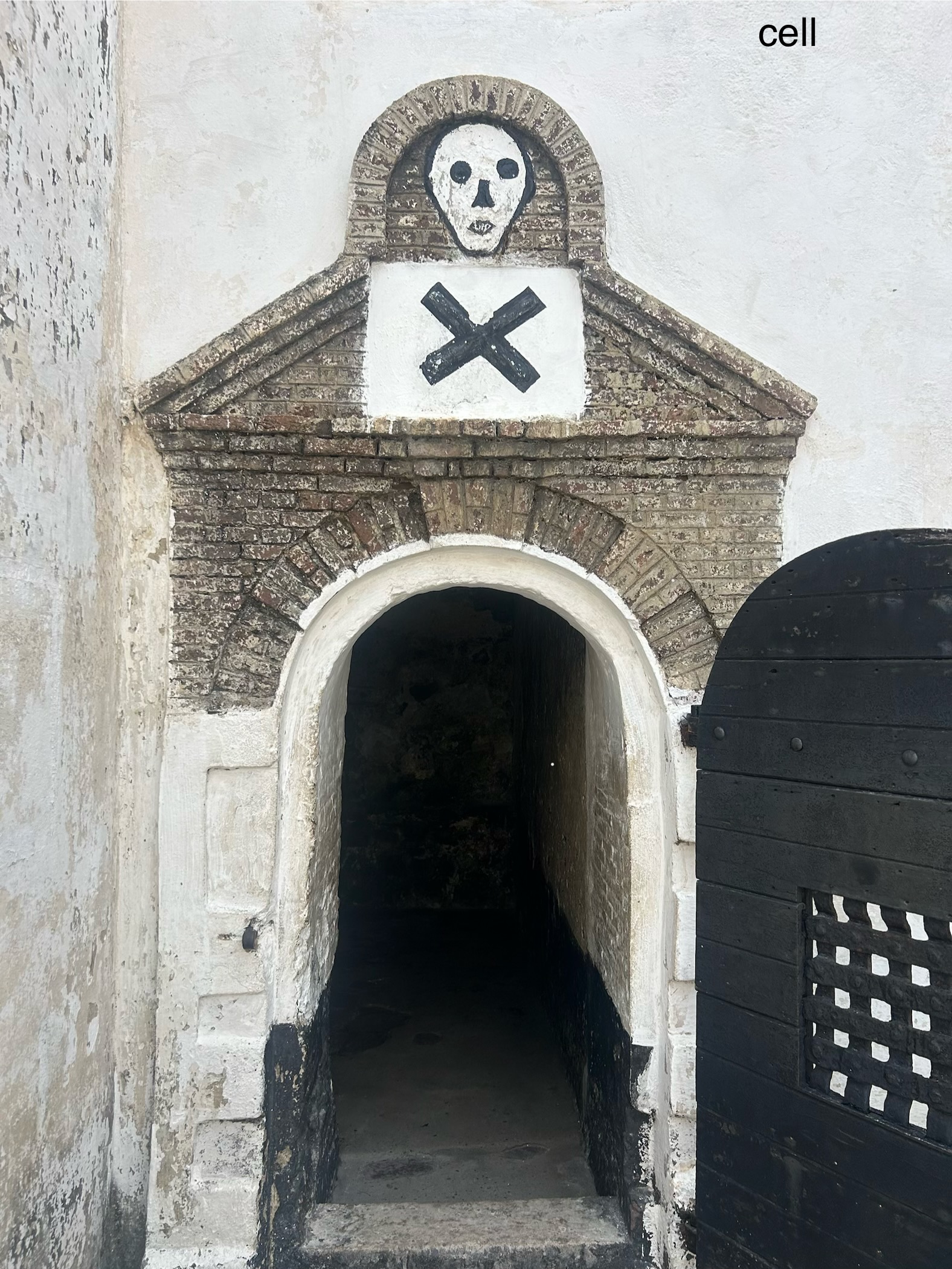elmina6