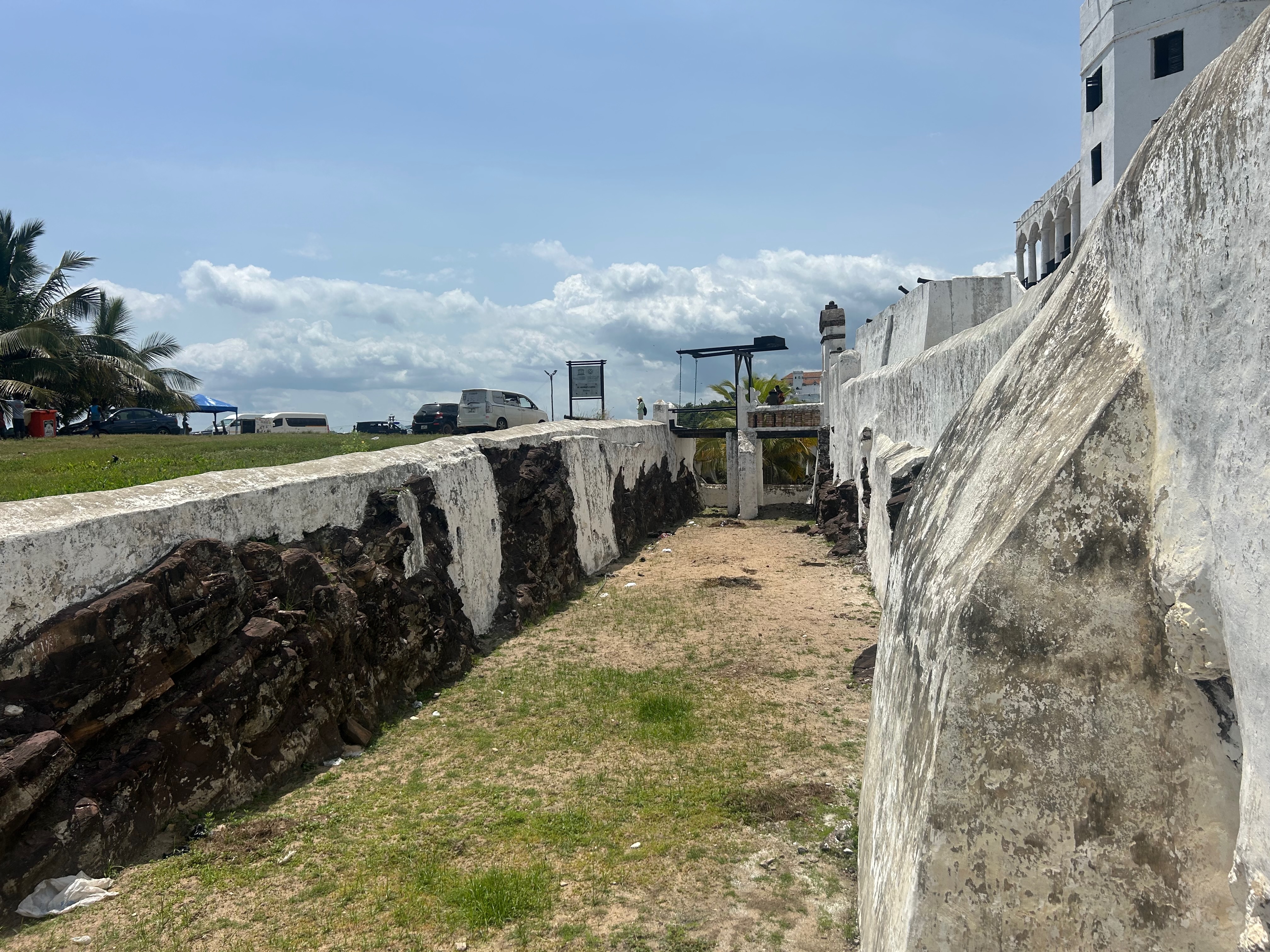elmina7