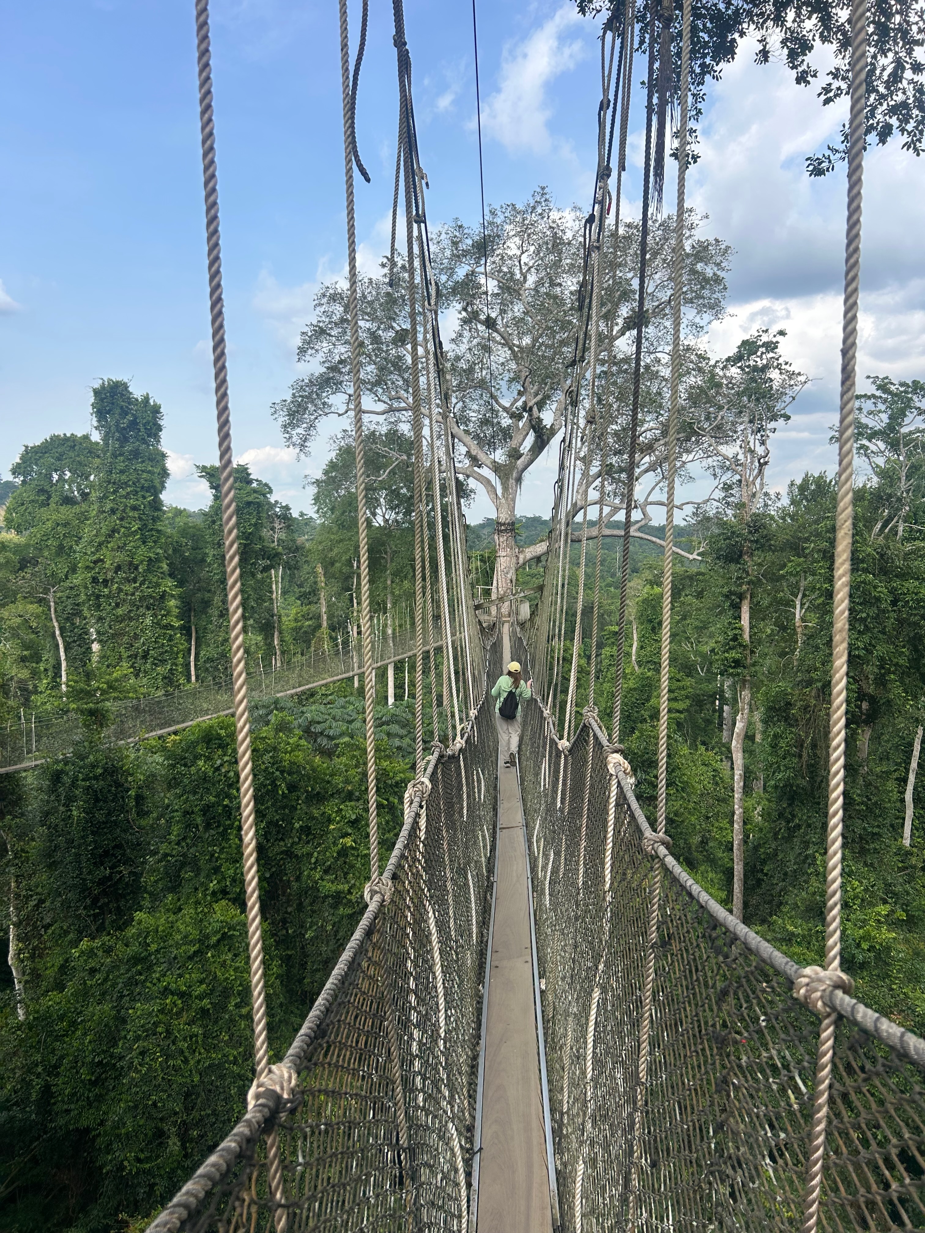 kakum2