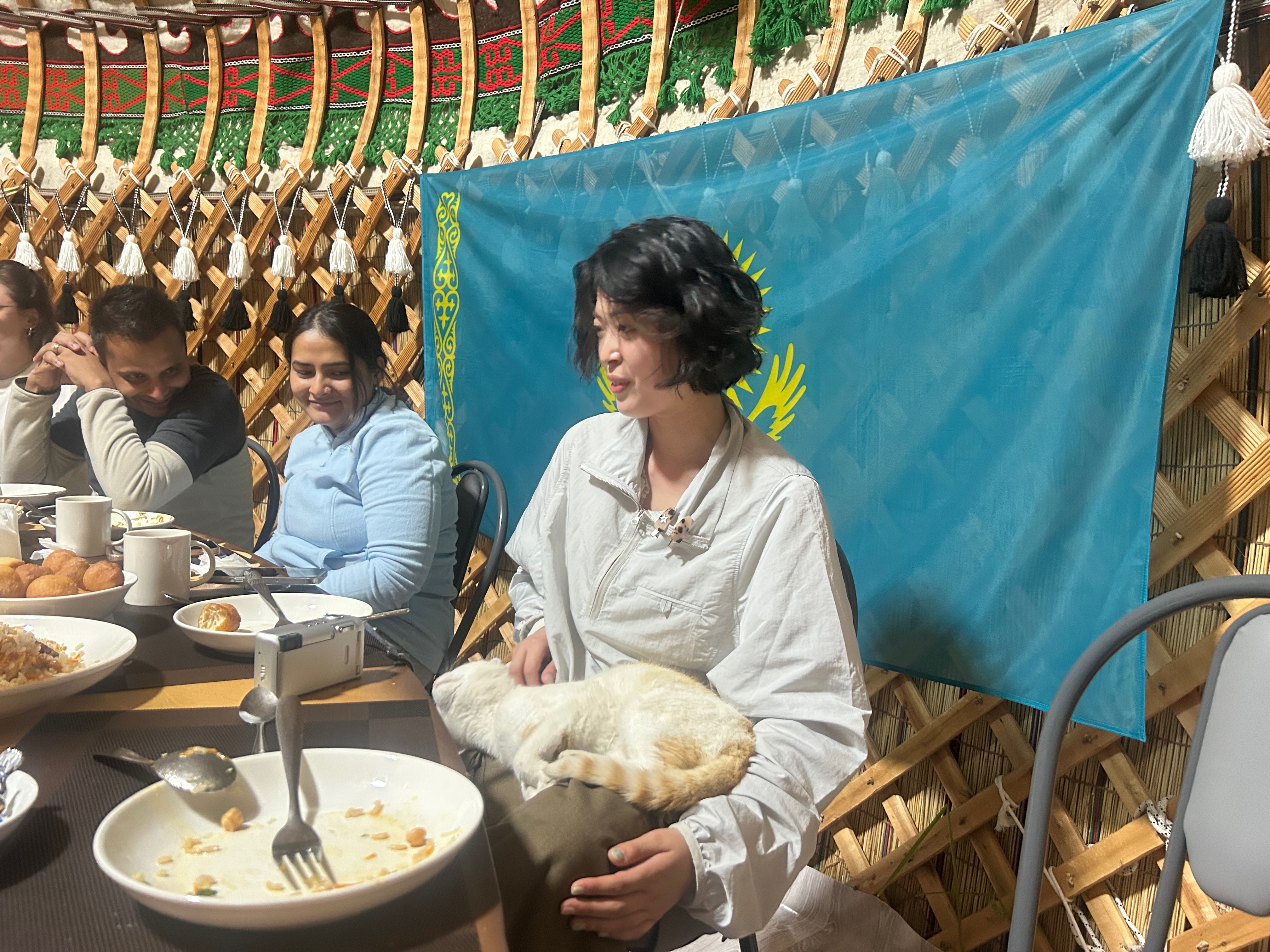 yurt_cat