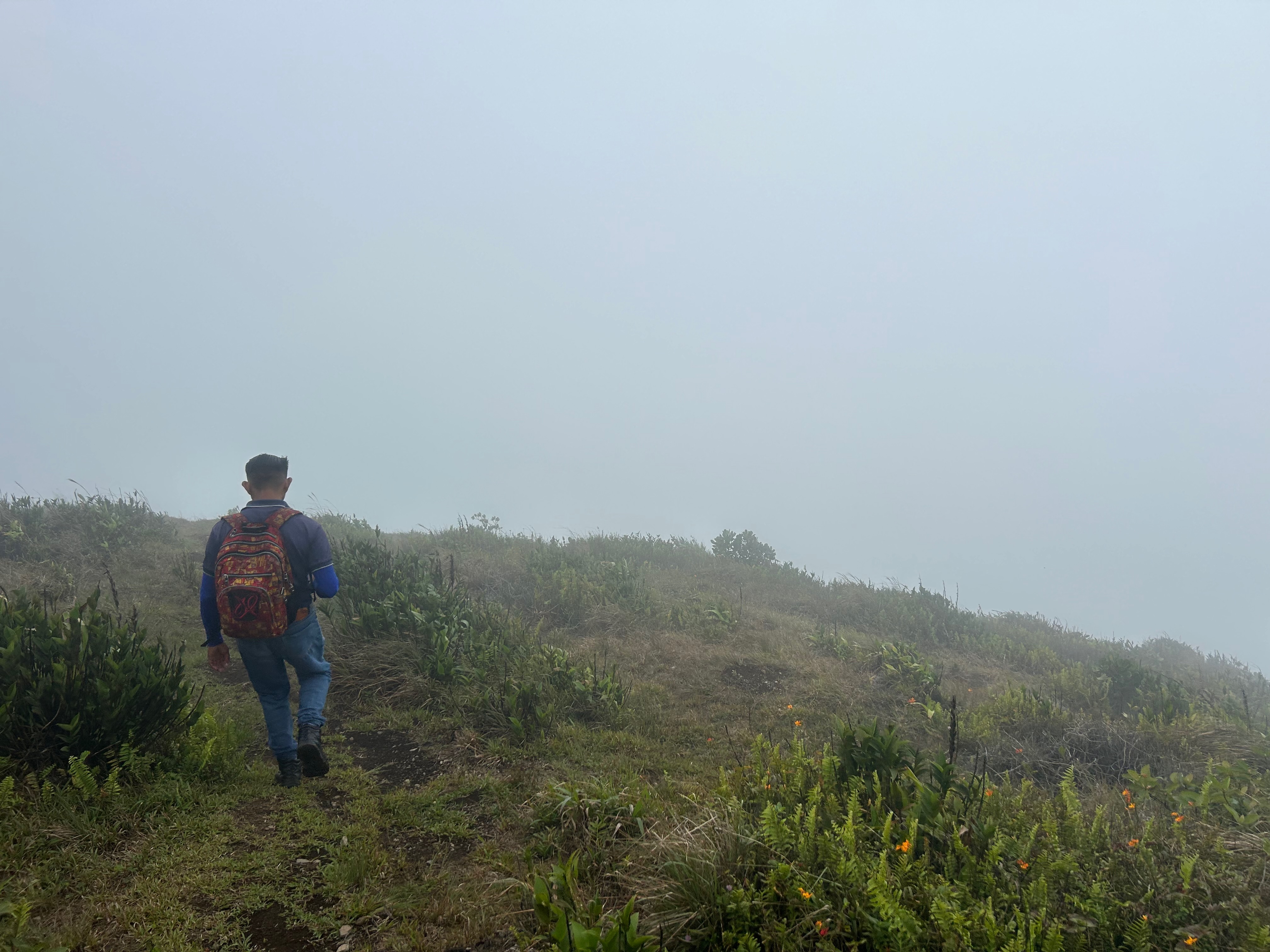 fog