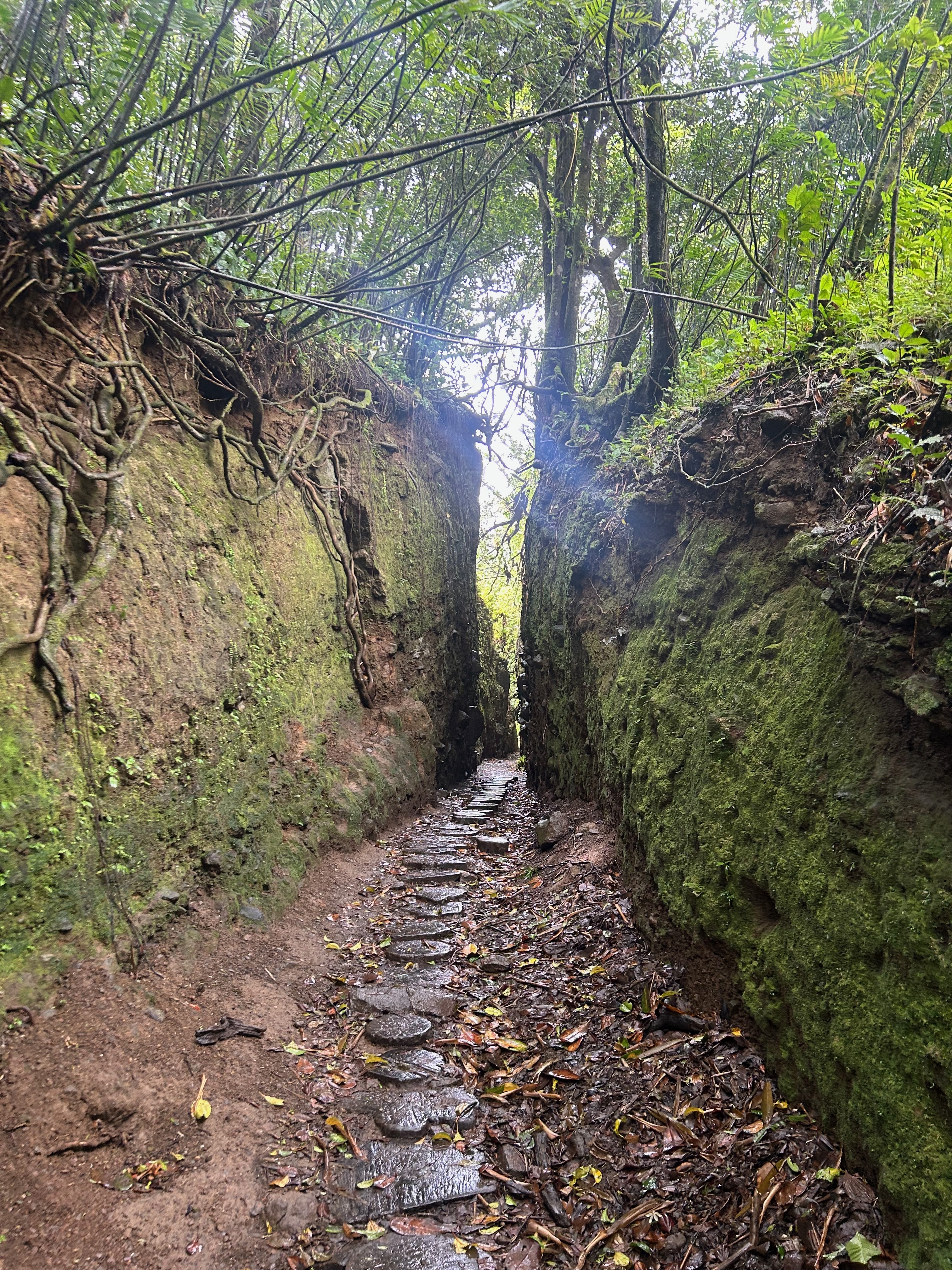 tunnel