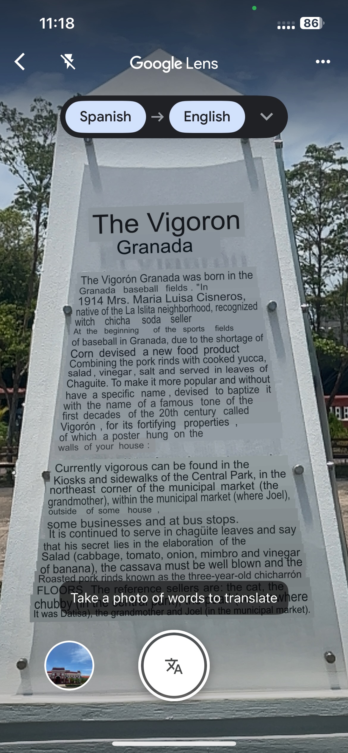 vigaron2