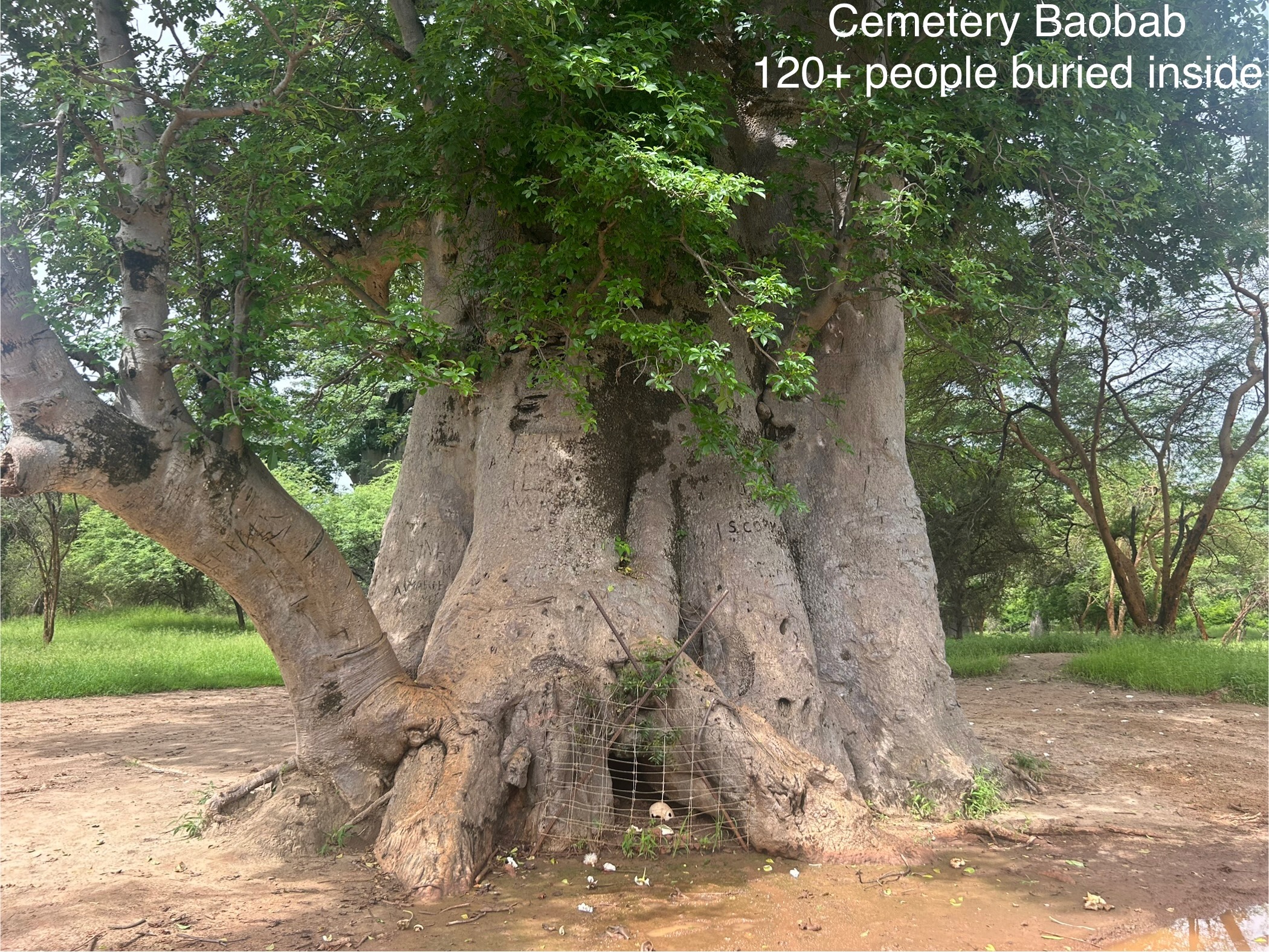 cemetary