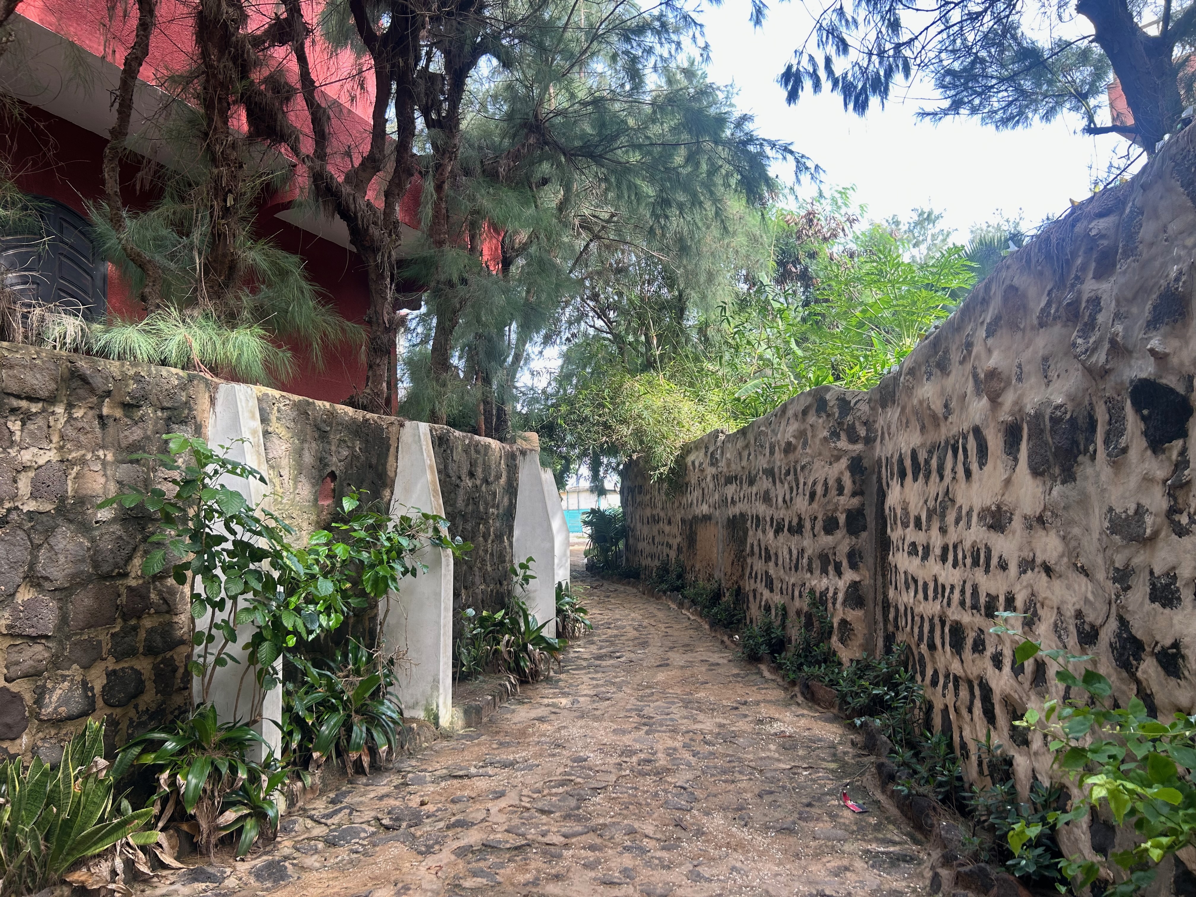 ngor_walk