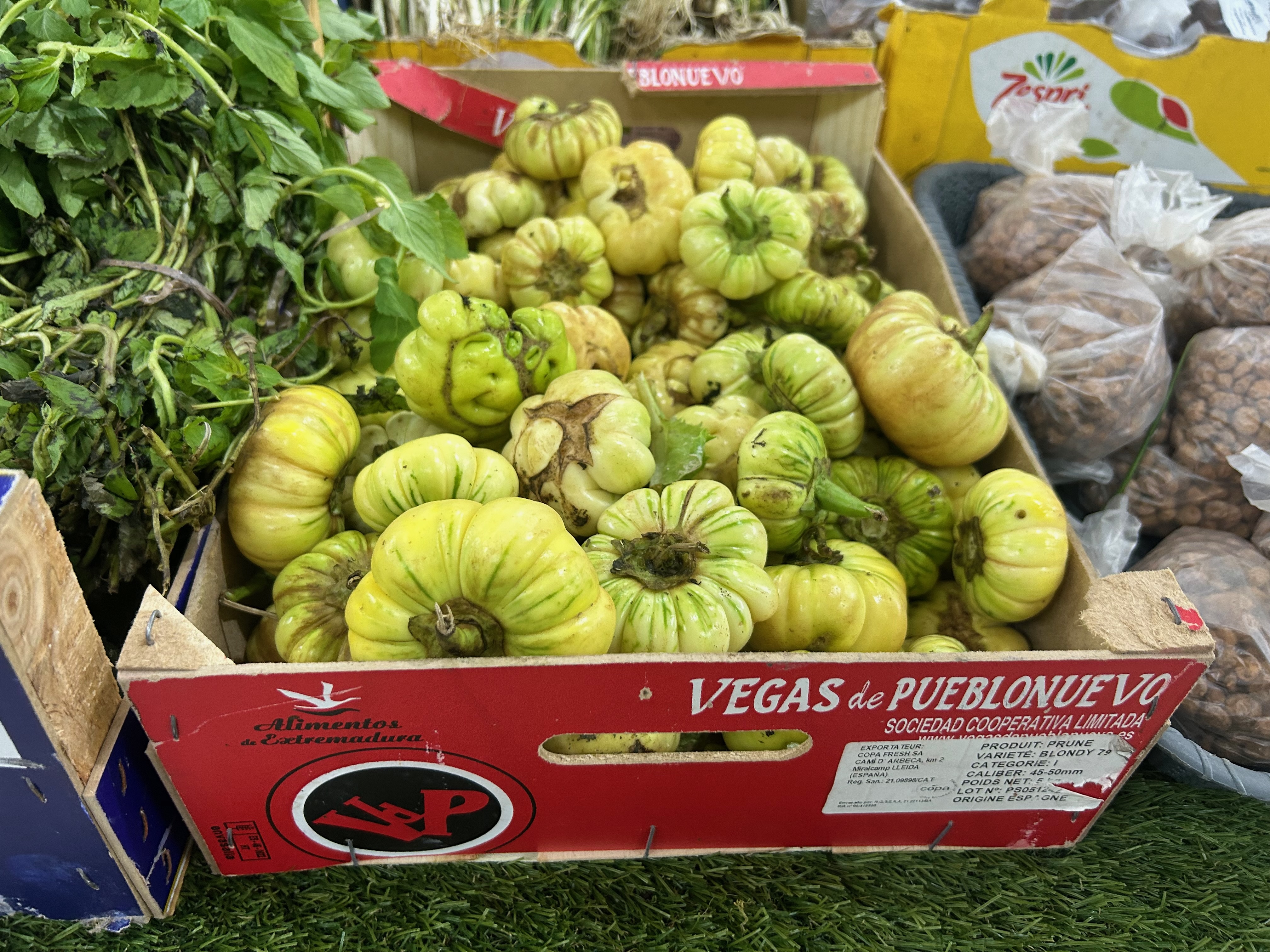 senegal_eggplant